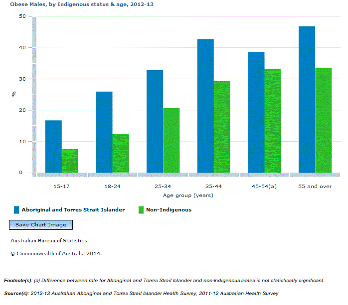 Graph Image for Obese Males, by Indigenous status and age, 2012-13